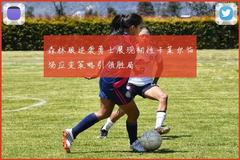 森林狼逆袭勇士展现韧性卡莱尔临场应变策略引领胜局